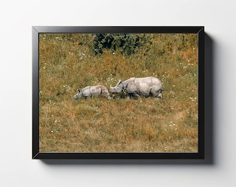 Rhino Mother and Child Photo Print | African Animal Wall Art