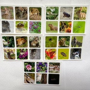 Animal Sticker Set Series 1 | Animal Stickers Set of 30