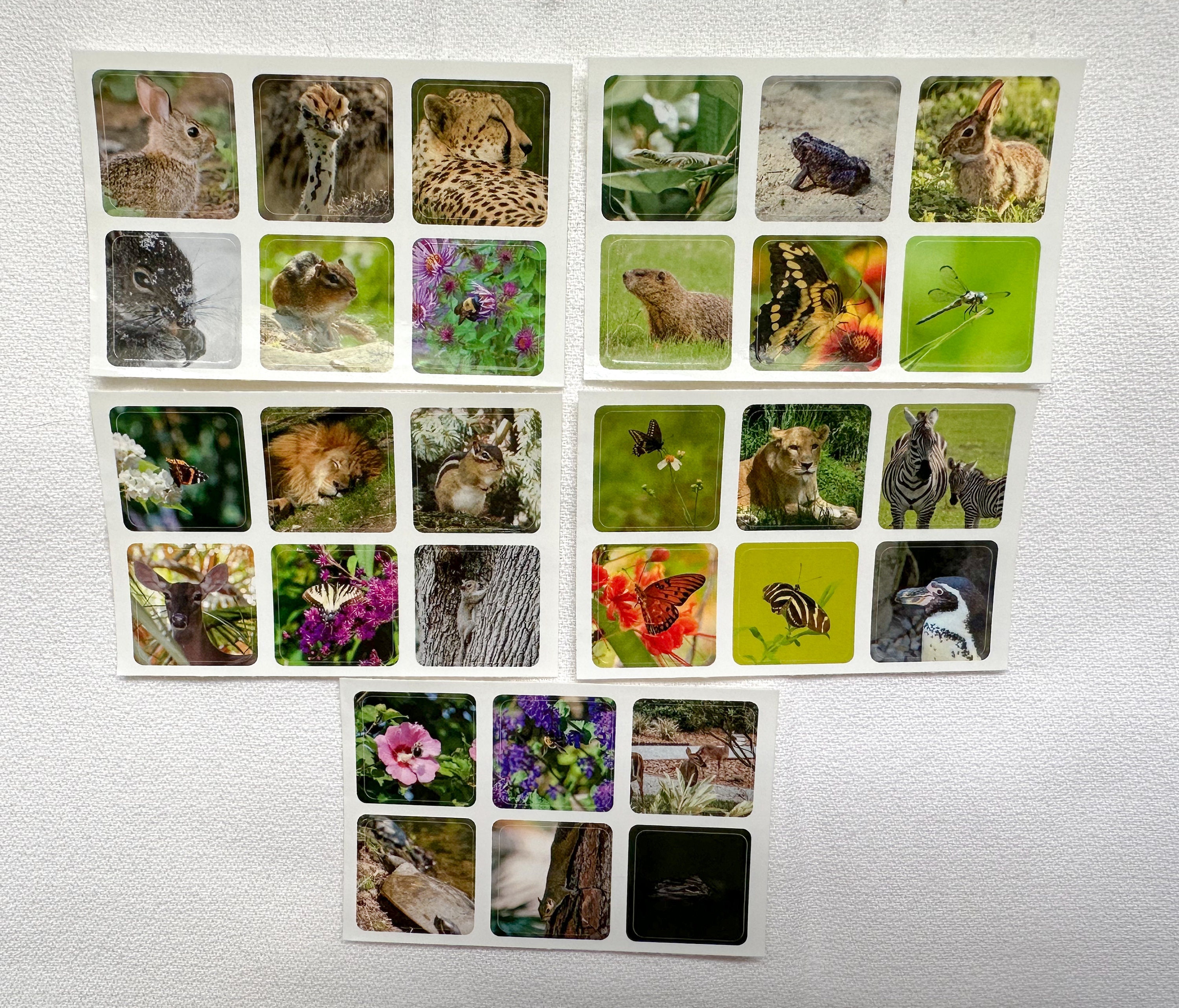 Animal Sticker Set Series 1 | Animal Stickers Set of 30 - Etsy