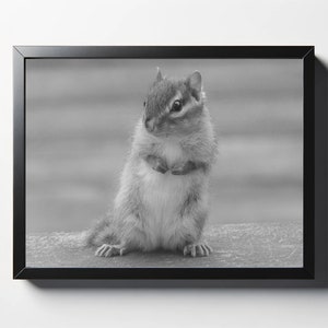 Streifenhörnchen Schwarz-Weiß-Druck | Streifenhörnchen Schwarz-Weiß-Foto | Tier-Wand-Kunst | Tier-Wand-Dekor | Tierdruck | Naturfoto