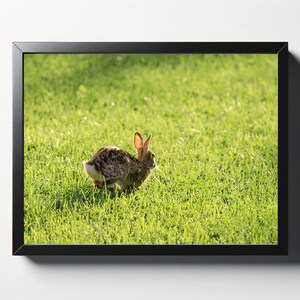 Cute Bunny Hopping Away Print | Bunny Decor | Animal Decor