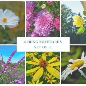 Spring Flower Note Cards Mini Variety Pack Set of 12 With Envelopes | Notecards | Snail Mail | Pen pals | Blank inside
