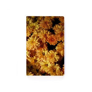 May include: A close-up image of a cluster of yellow and orange chrysanthemums. The flowers are in full bloom and have a soft, velvety texture.