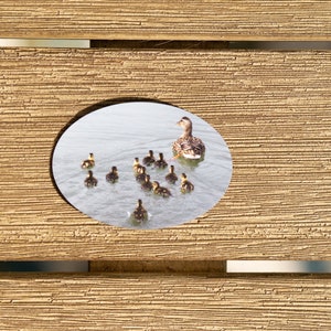 Duck with Ducklings Magnet