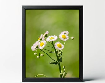 Natuurprint met witte bloemen | Botanische muurkunst