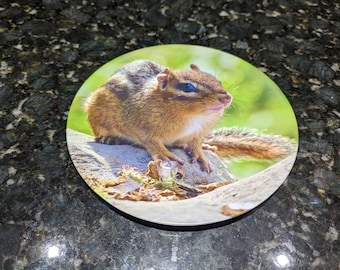 Chipmunk Melamine Plate 8 inch