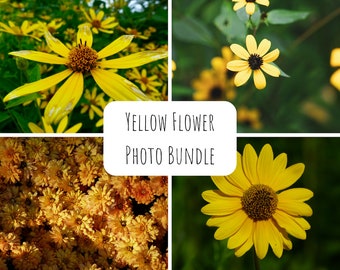 Conjunto de impresiones fotográficas de flores amarillas / Arte floral para pared