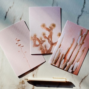 Juego de tarjetas de plantas del desierto en color rosa suave con una flor de agave, un árbol de Josué y un cactus en una pared rosa