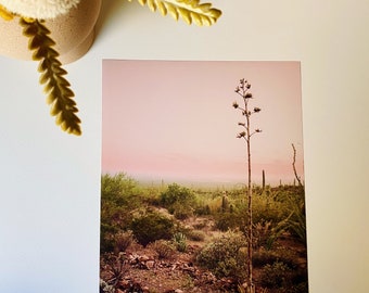 11x14 Agave Desert Landscape Print Wydruk fotograficzny na różowym tle zachód słońca