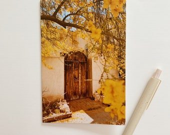 Karta okolicznościowa Barrio Viejo w Tucson z kwitnącym żółtym palo verde