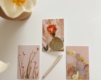 Zestaw kartek w kolorze Desert Bloom Soft Pink z kwiatami Ocotillo, Prickly Pear Bloms i Palo Verde