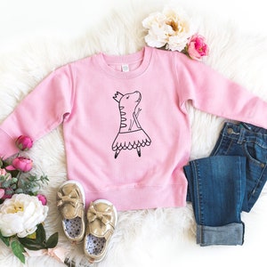 Dinosaur sweatshirt, toddler sweatshirt, ballet shirt, toddler girl clothes, girls dinosaur sweater, toddler dinosaur shirt, Dino sweatshirt