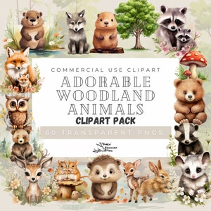 Adorable Woodland Animal Watercolor Clipart Bundle, Woodland Animal Digital Clipart, Nursery Clipart, Forest Friends, Fox Bear Raccoon Wolf image 1