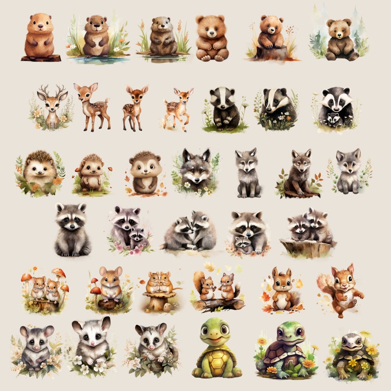 Adorable Woodland Animal Watercolor Clipart Bundle, Woodland Animal Digital Clipart, Nursery Clipart, Forest Friends, Fox Bear Raccoon Wolf image 3