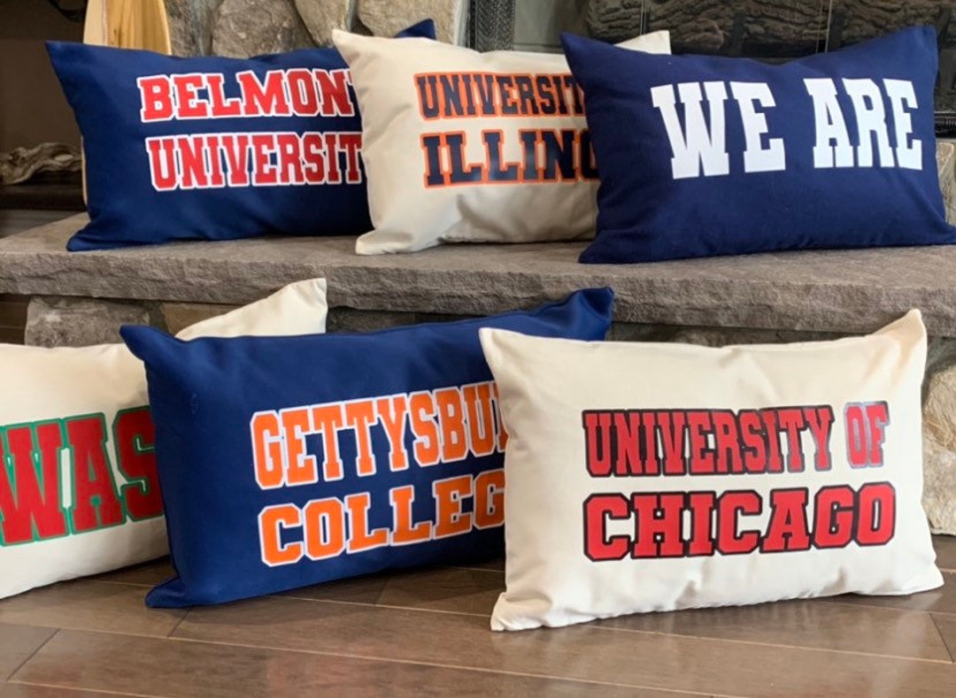 College Pillow State University Custom School Logo Dorm Room Decor