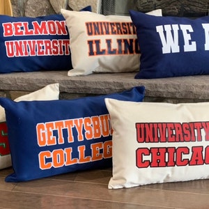 College Pillows Etsy