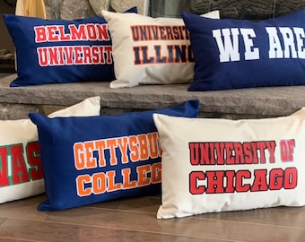 College Pillow State University custom school logo dorm room decor personalized