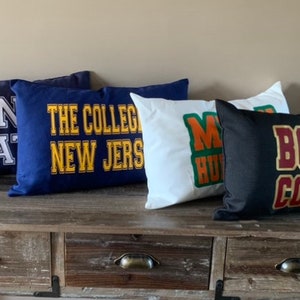 Custom College Pillow State University School Logo Dorm Room Decor HS Graduation Decision Day Acceptance Personalized Gift Bed Party