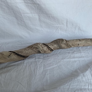 May include: A long, twisted piece of driftwood with a natural, weathered gray finish. The wood has a unique, organic shape and texture.