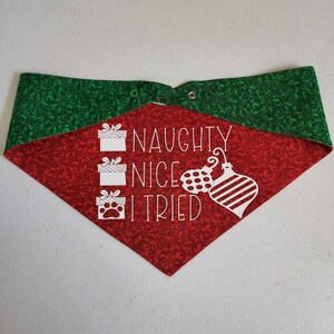 Naughty, Nice, I tried
