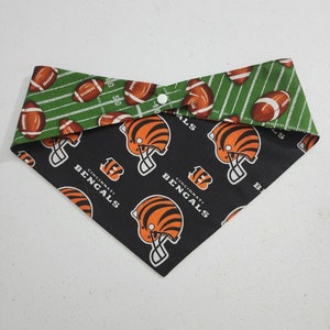 Cincinnati Bengals