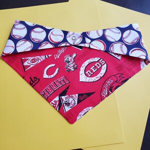 Cincinnati Reds