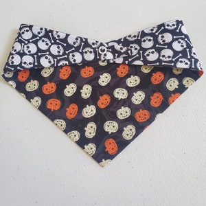Skulls & Pumpkins