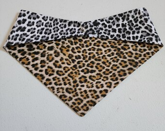 Gepard