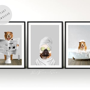 Bulldog Bathroom Art Print Set of 3 Dog On Toilet Wall Art Bathroom Bulldog Reading Spa Bath Animal Bulldog Kid Printable Wall Poster Decor