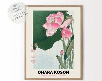 Ohara Koson Blooming Lotus Print | Vintage Japanese Art (Digital Download)