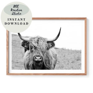 Highland Cow Wall Art Yak Buffalo Highland Cow Picture Black White Cow Farmhouse Bull Poster Cow Art Print Cow Home Décor Digital Download