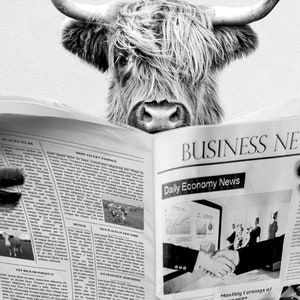 Highland cow bathroom print wall art decor highland cow on toilet artwork bathroom picture black white animal funny cow bathroom decor image 5