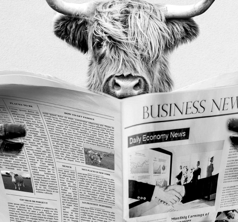 Highland cow bathroom print wall art decor highland cow on toilet artwork bathroom picture black white animal funny cow bathroom decor image 5
