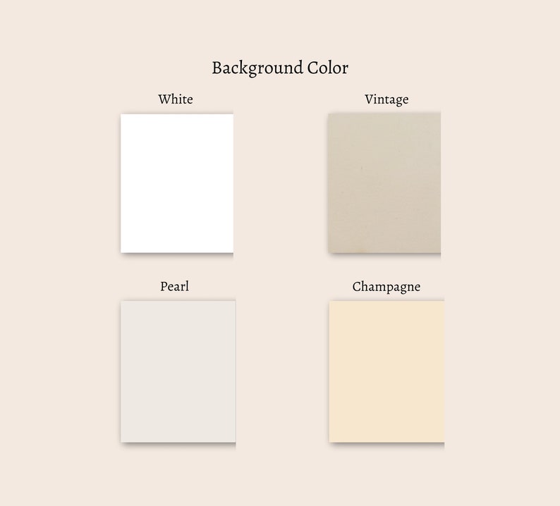 May include: Four color swatches showing different background colors for a design project. The colors are white, vintage, pearl, and champagne.