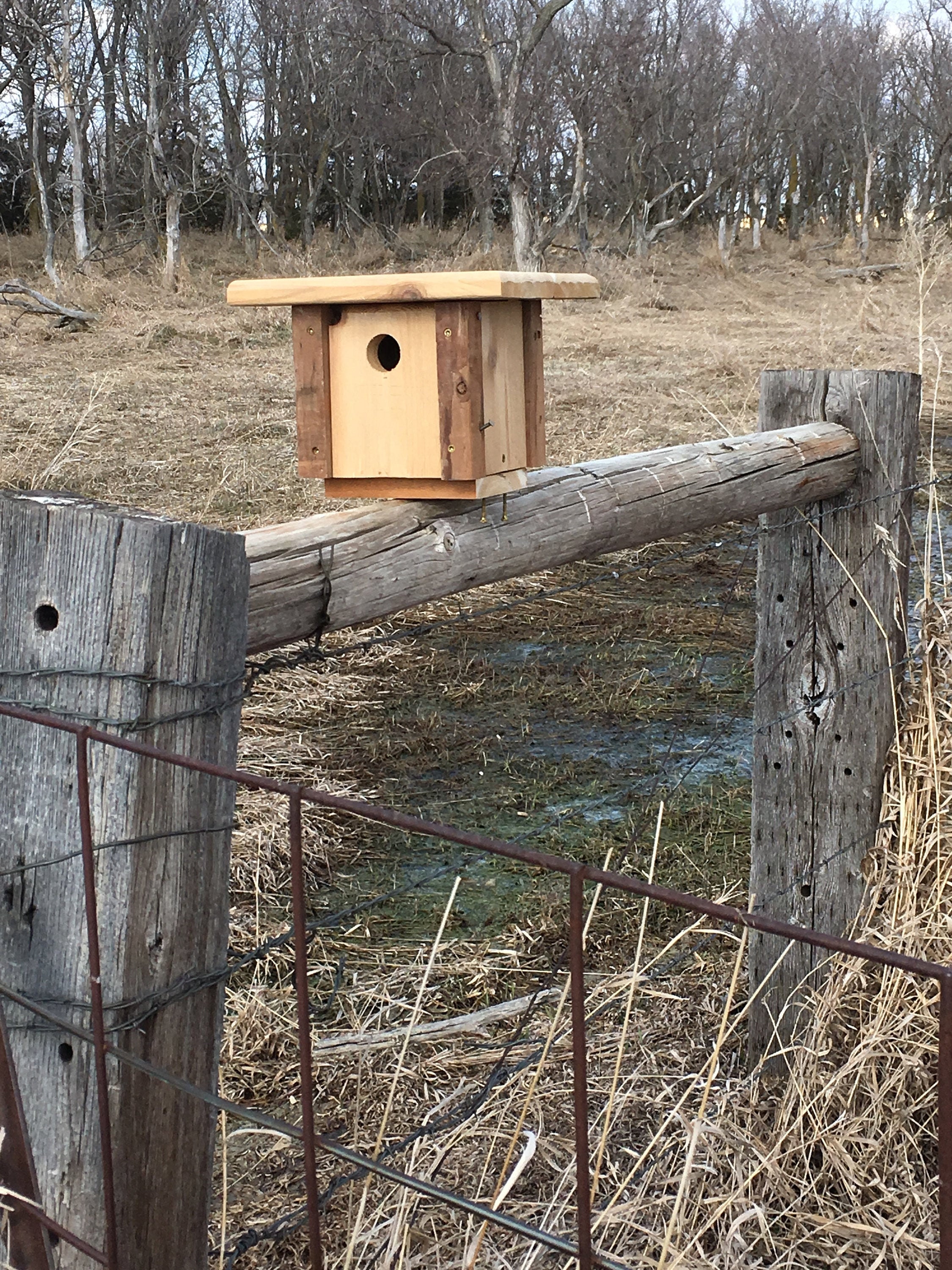 Bluebird or Tree Swallow Nest Box Etsy