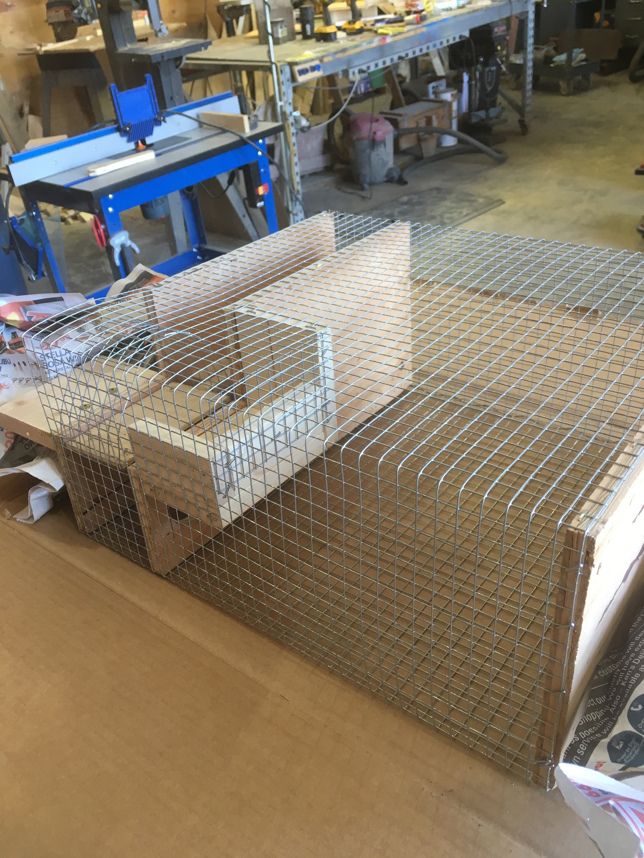 Repeating Bird Trap for English Sparrow House Sparrow Etsy