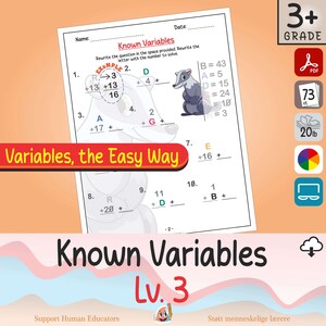 3rd Grade+ - Advanced Variables Workbook - Multi-Step Equations for Algebra Prep - Printable Math Practice