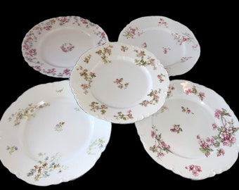 Limoges Luncheon Dinner Plates Mixed Set of Five—9-1/2”