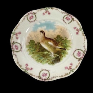 Vintage Zeh Scherzer Mignon Bavaria 7.5 Inch Decorative Bird Plate - Grouse Design Collectible