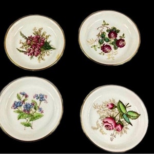 Conjunto de 4 pratos Spode Flower Varieties 4” pratos vintage