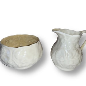 Belleek Irish Porcelain Creamer & Sugar Set Lily Pattern Vintage Belleek