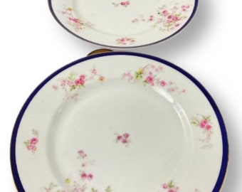 2 Bassett China Dinner Plates—Czechoslovakian