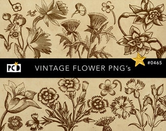 42 cliparts de gravure de fleurs vintage PNG | Coupes délicates botaniques | Kit éphémère sépia pour journal indésirable | Faire-part et pages de garde | 300 ppp