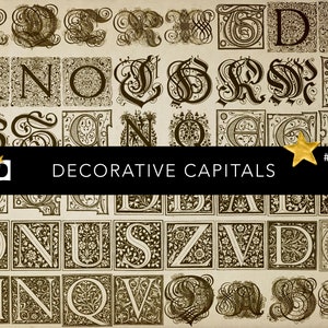 Op de afbeelding: Een verzameling decoratieve hoofdletters in vintage stijl. Elke letter is ingewikkeld ontworpen met sierlijke details en bloempatronen. De afbeelding bevat de tekst "DECORATIVE CAPITALS" en het nummer "0468".