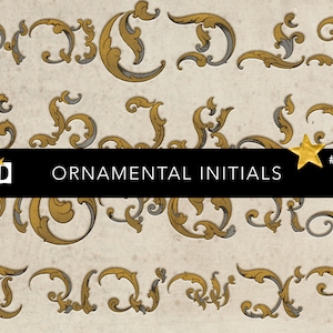 Antiguas iniciales medievales iluminadas / alfabeto medieval / fuente decorativa / paquete PNG transparente digital