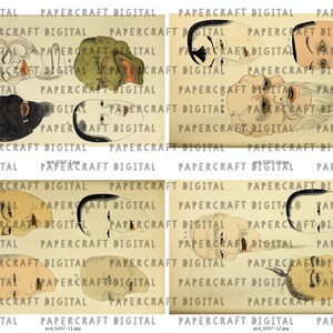 May include: Four black and white illustrations of Japanese Noh masks. The masks are drawn in a traditional style with detailed features and expressions. The masks are labeled with the text "pcd_0207-11.jpg" and "pcd_0207-12.jpg".