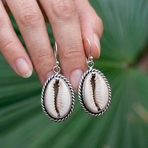 May include: A pair of drop earrings featuring oval cowrie shells set in twisted silver-toned metal frames. Each shell is off-white with a central brown slit, suspended from a simple silver-toned hook wire for a classic and symmetrical appearance.