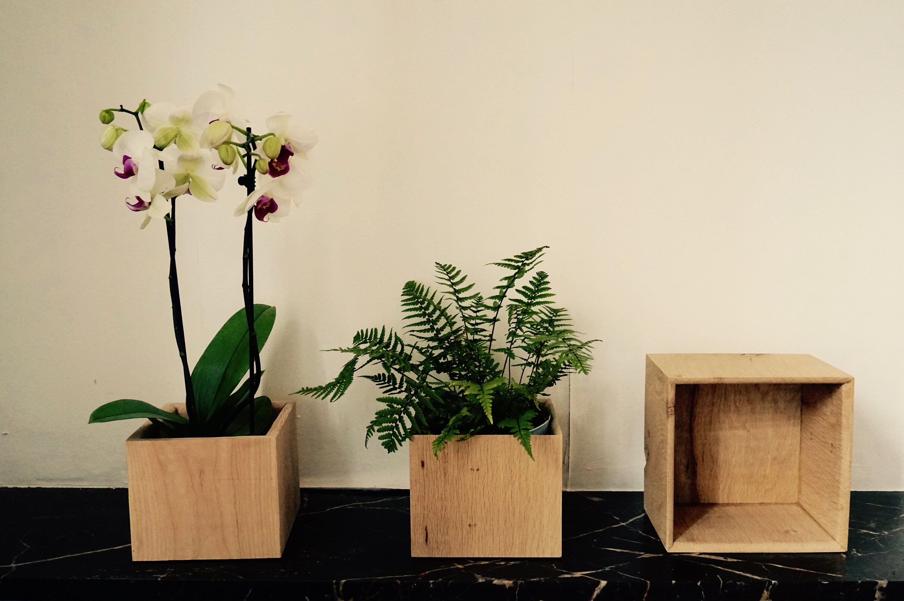 The Humble Box, Plant Box, Cache Pot