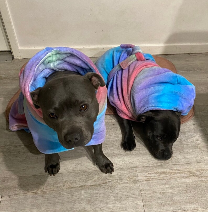 DRESSINGGOWN for Dogs Super Soft Snuggle Cuddle Etsy