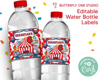 EDITABLE Carnival Circus Water Bottle Labels, Birthday Water Bottle Template, Carnival Water Labels, Instant Download Editable Template